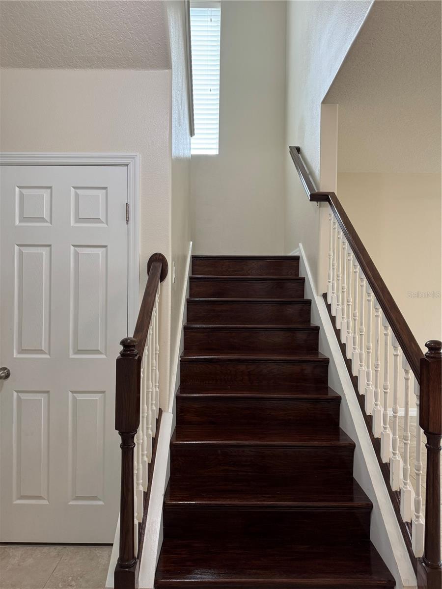 2504 Amati Dr Property Photo 18