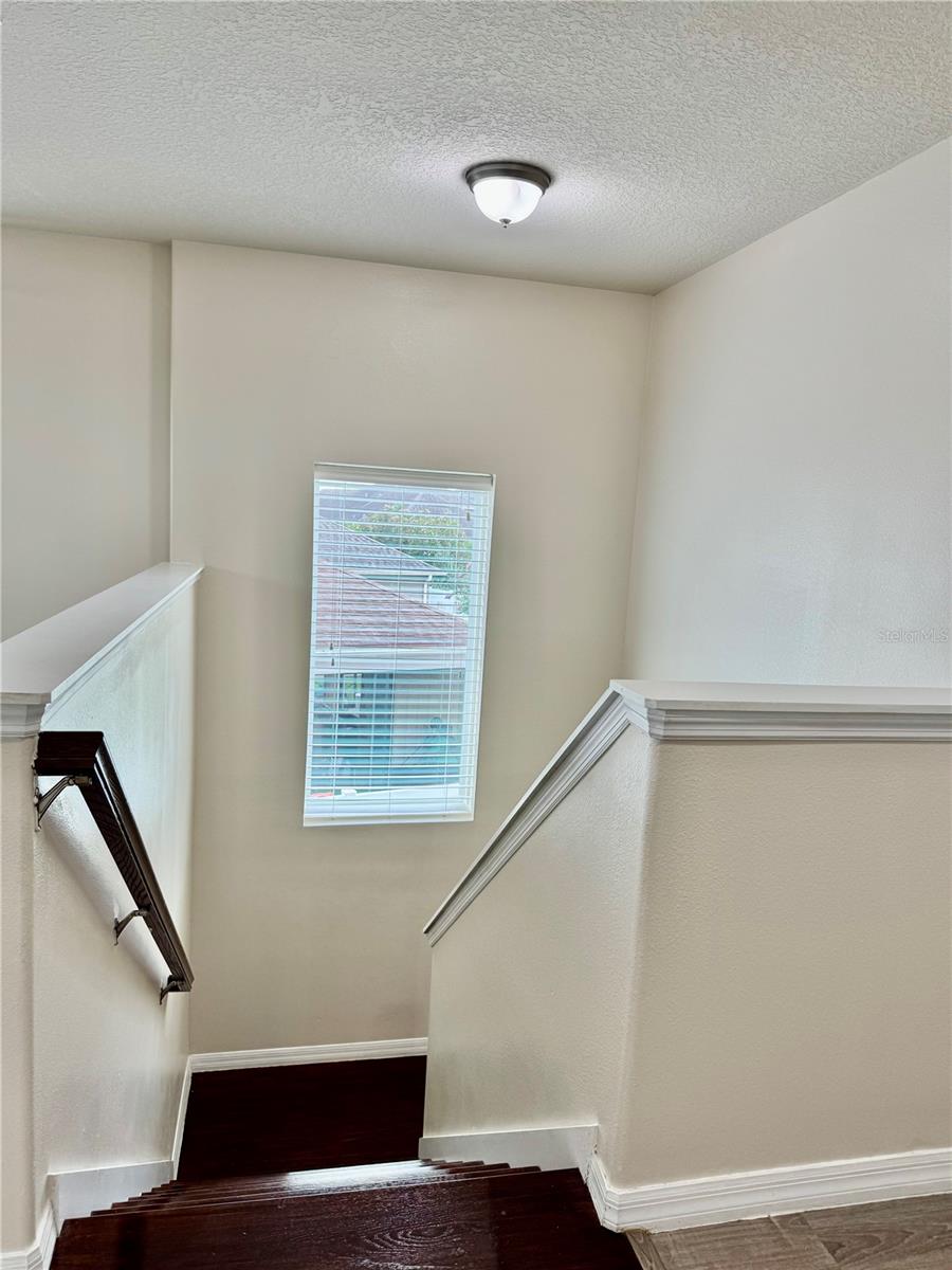 2504 Amati Dr Property Photo 19