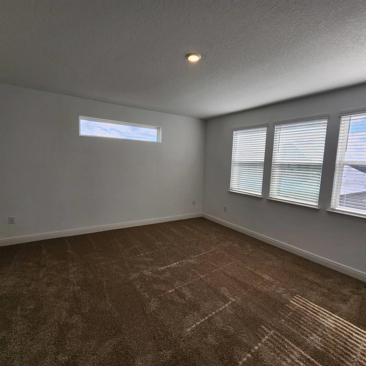 19050 Blueleaf St Property Photo 10