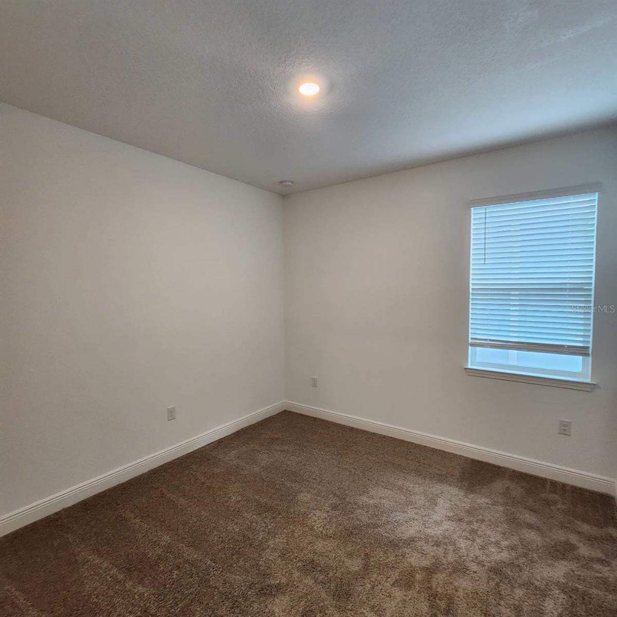 19050 Blueleaf St Property Photo 14