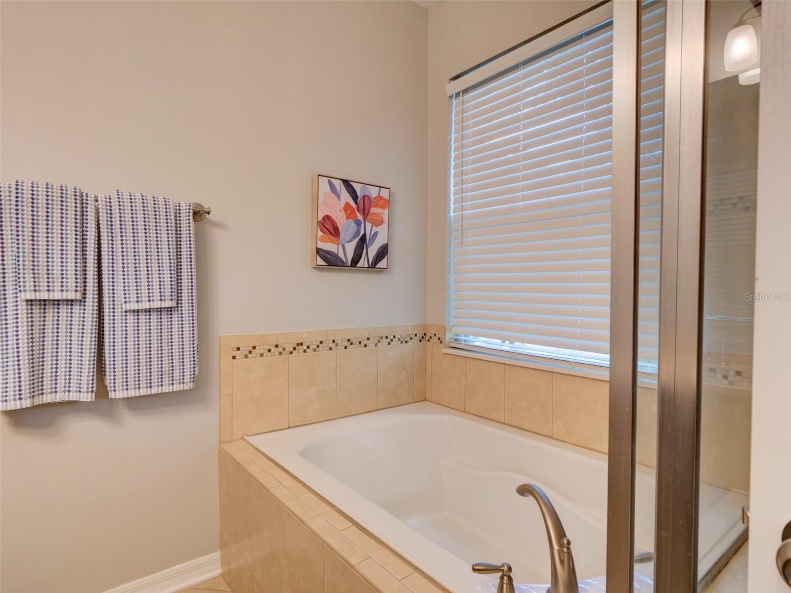 8218 Mystic View Way #2801 Property Photo 29