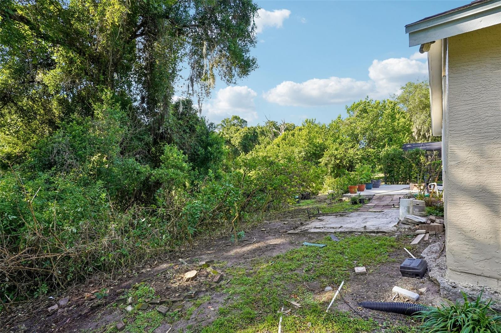 1167 Woodland Terrace Trl Property Photo 43