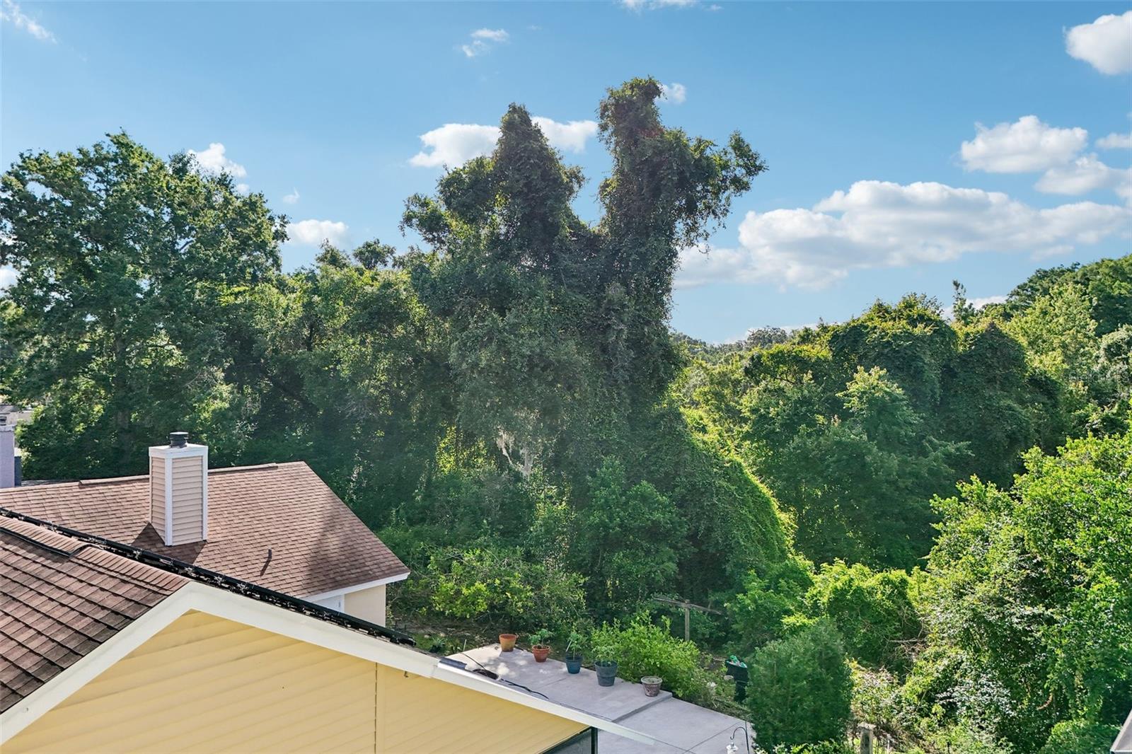 1167 Woodland Terrace Trl Property Photo 53