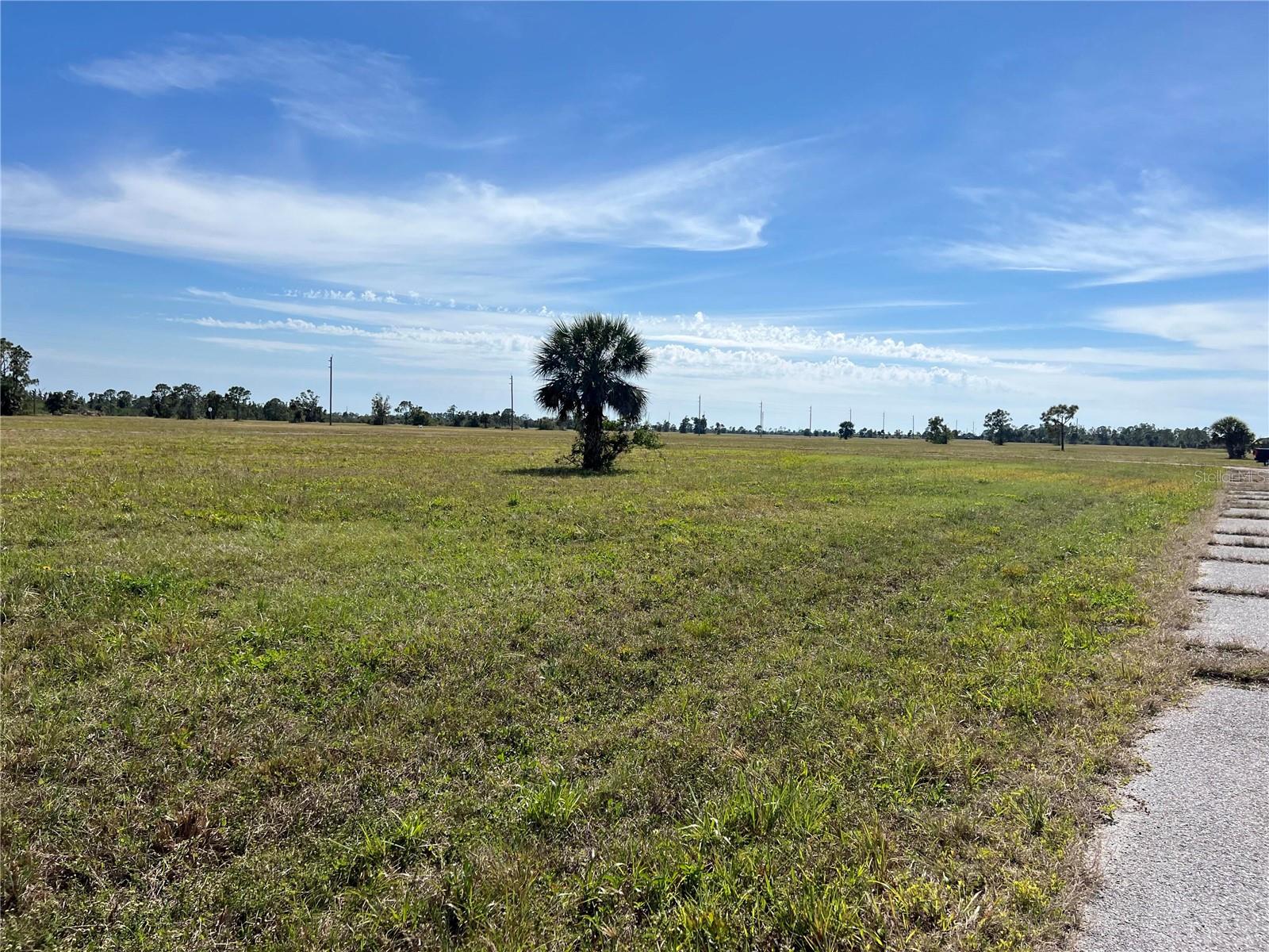 12368 Greenling Way Property Photo 2