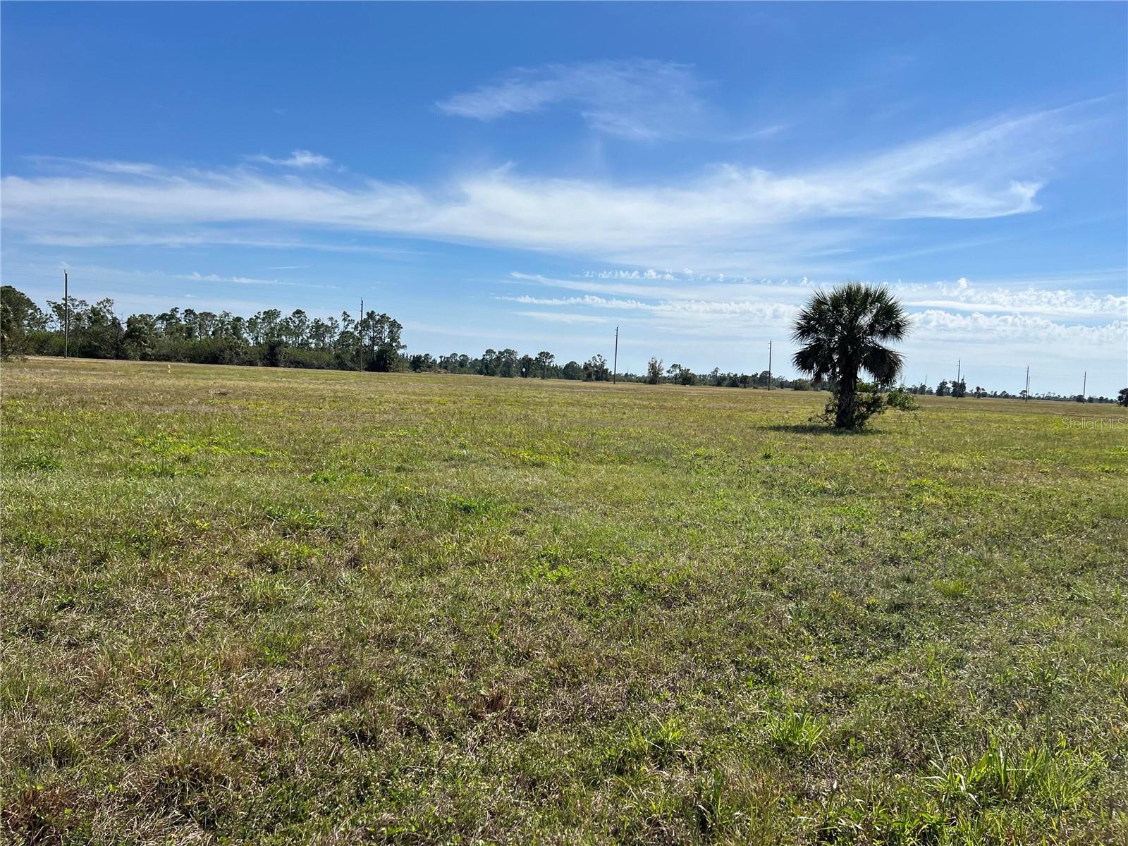 12368 Greenling Way Property Photo 3