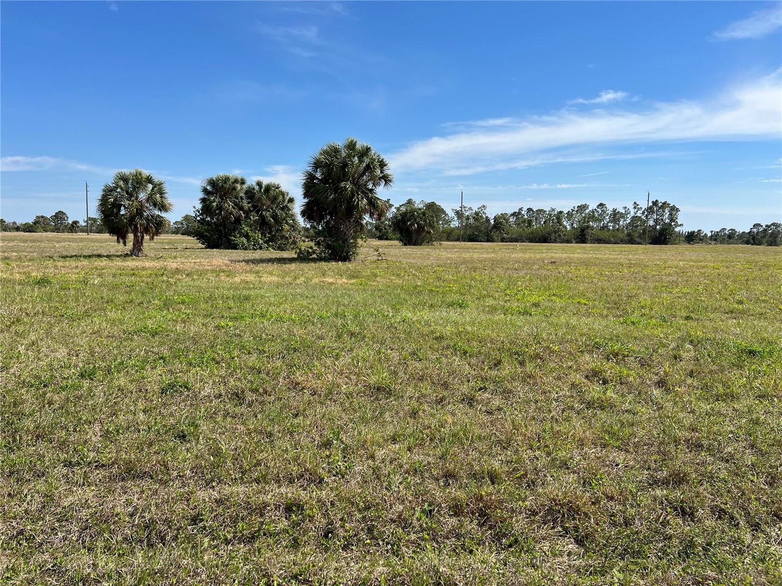 12368 Greenling Way Property Photo 4