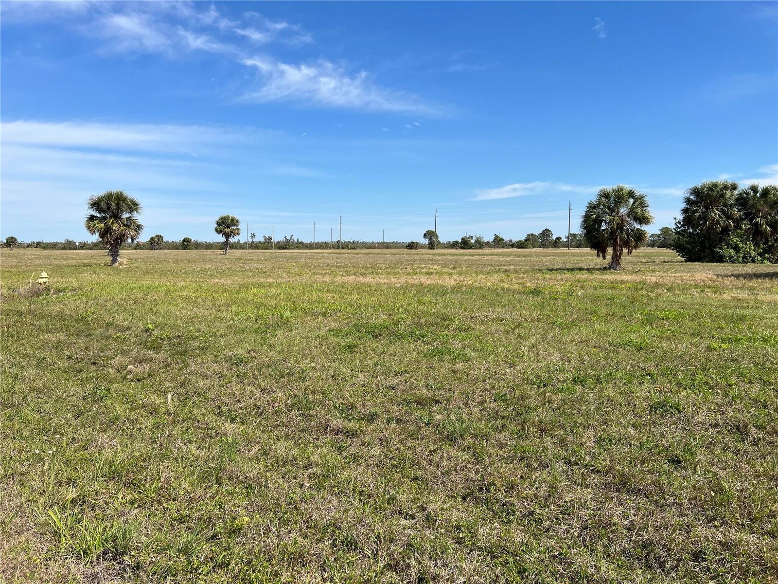 12368 Greenling Way Property Photo 5