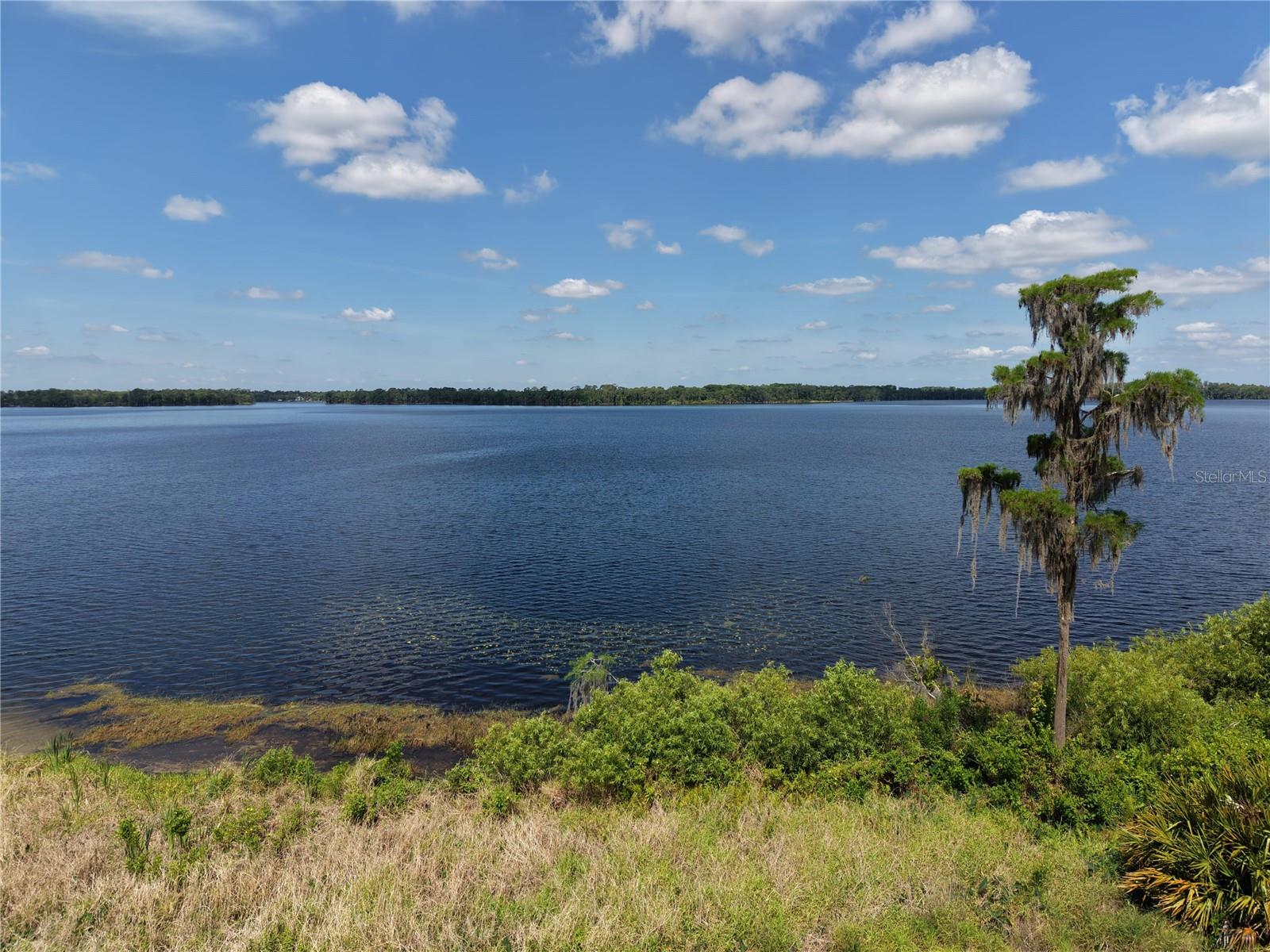 Lake Pickett Rd Property Photo 10