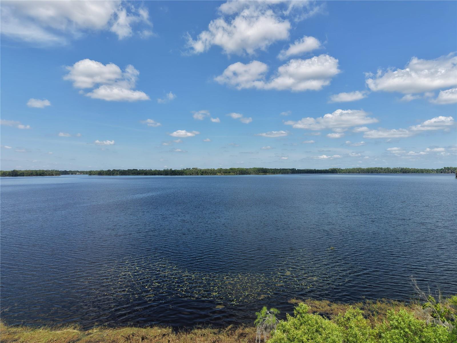 Lake Pickett Rd Property Photo 11