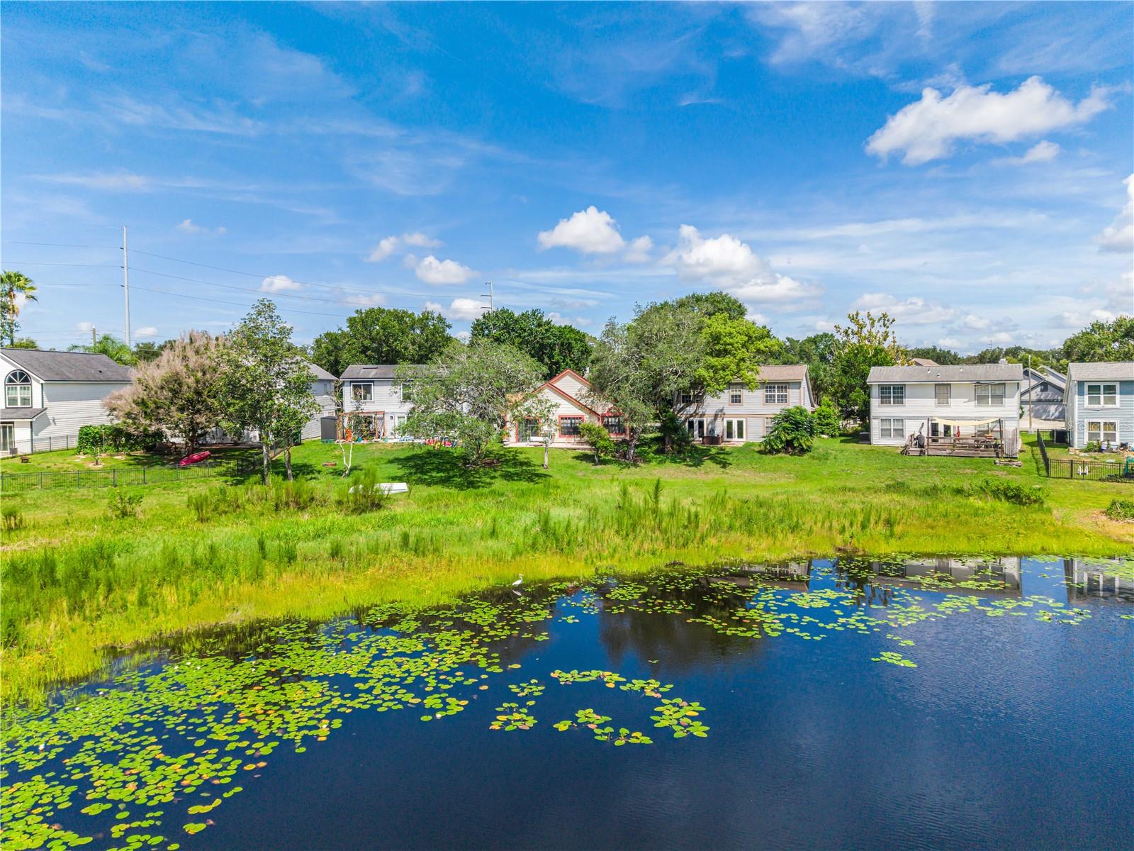 9939 Aloma Bend Ln Property Photo 8
