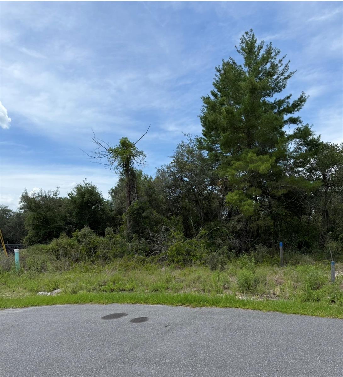 1205 Waverly Pl Property Photo 4