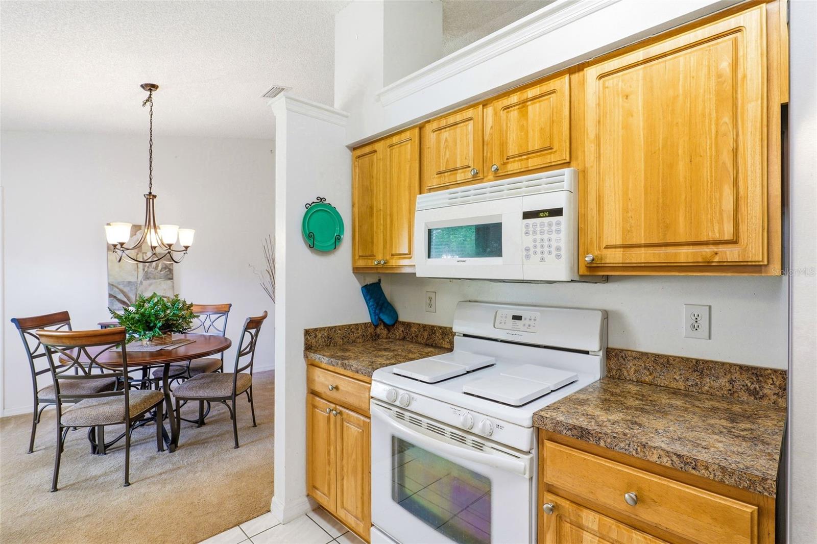 3065 Pineda Crossing Dr Property Photo 18