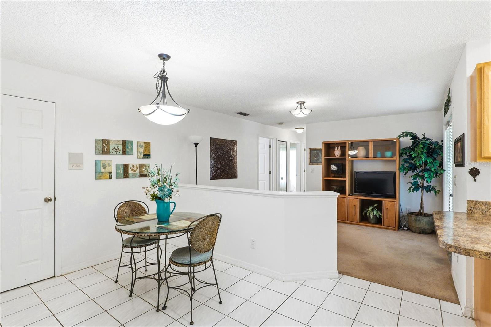 3065 Pineda Crossing Dr Property Photo 19