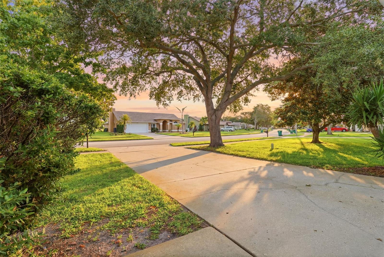 3065 Pineda Crossing Dr Property Photo 49