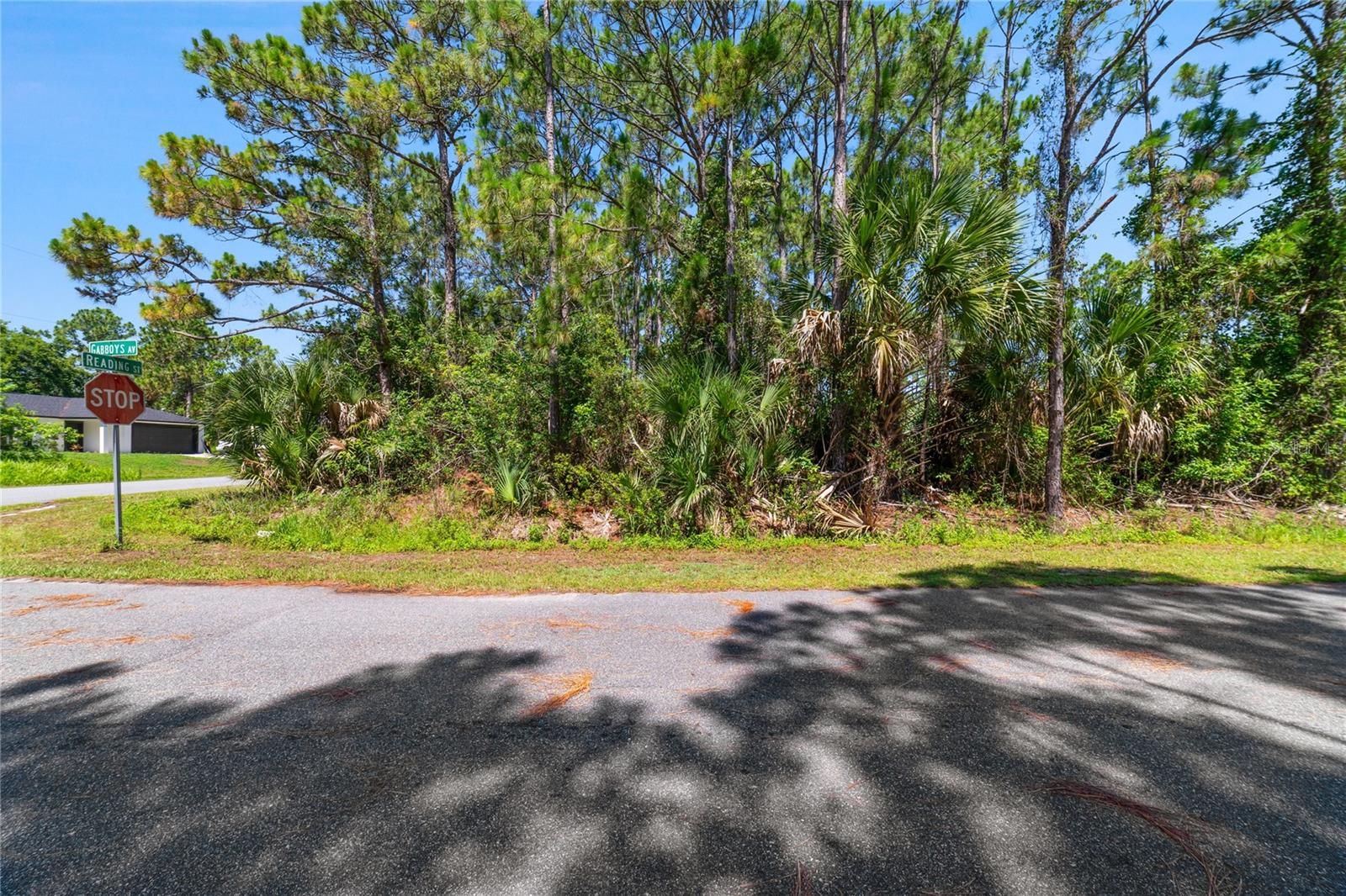 Gabboys Ave Se Property Photo 3