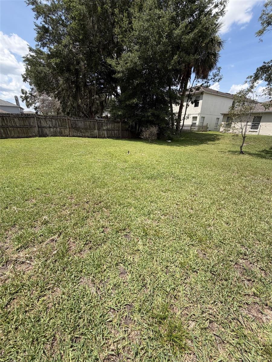736 Bristol Forest Way Property Photo 19