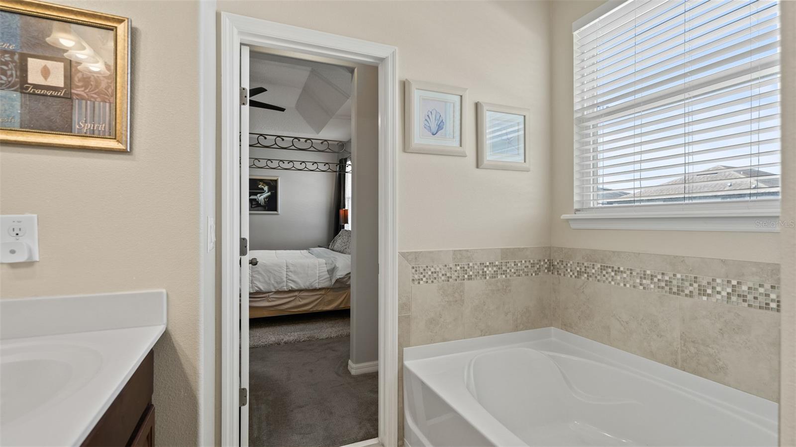 2544 Folio Way Property Photo 11