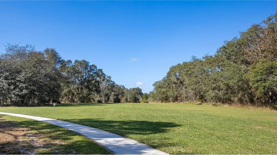 O6418815 Property Photo 13