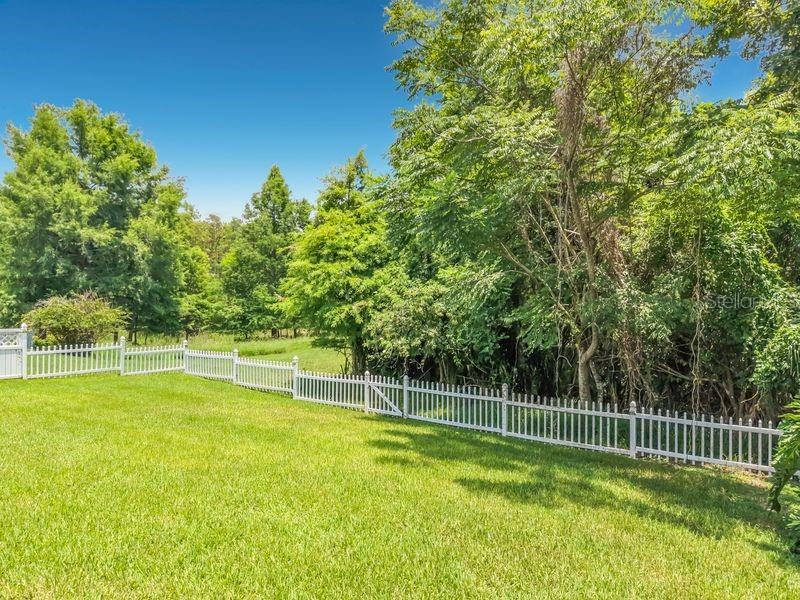 14664 Saint Georges Hill Dr Property Photo 88