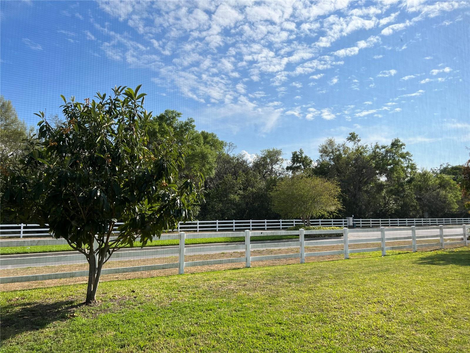 365 James Cir Property Photo 30