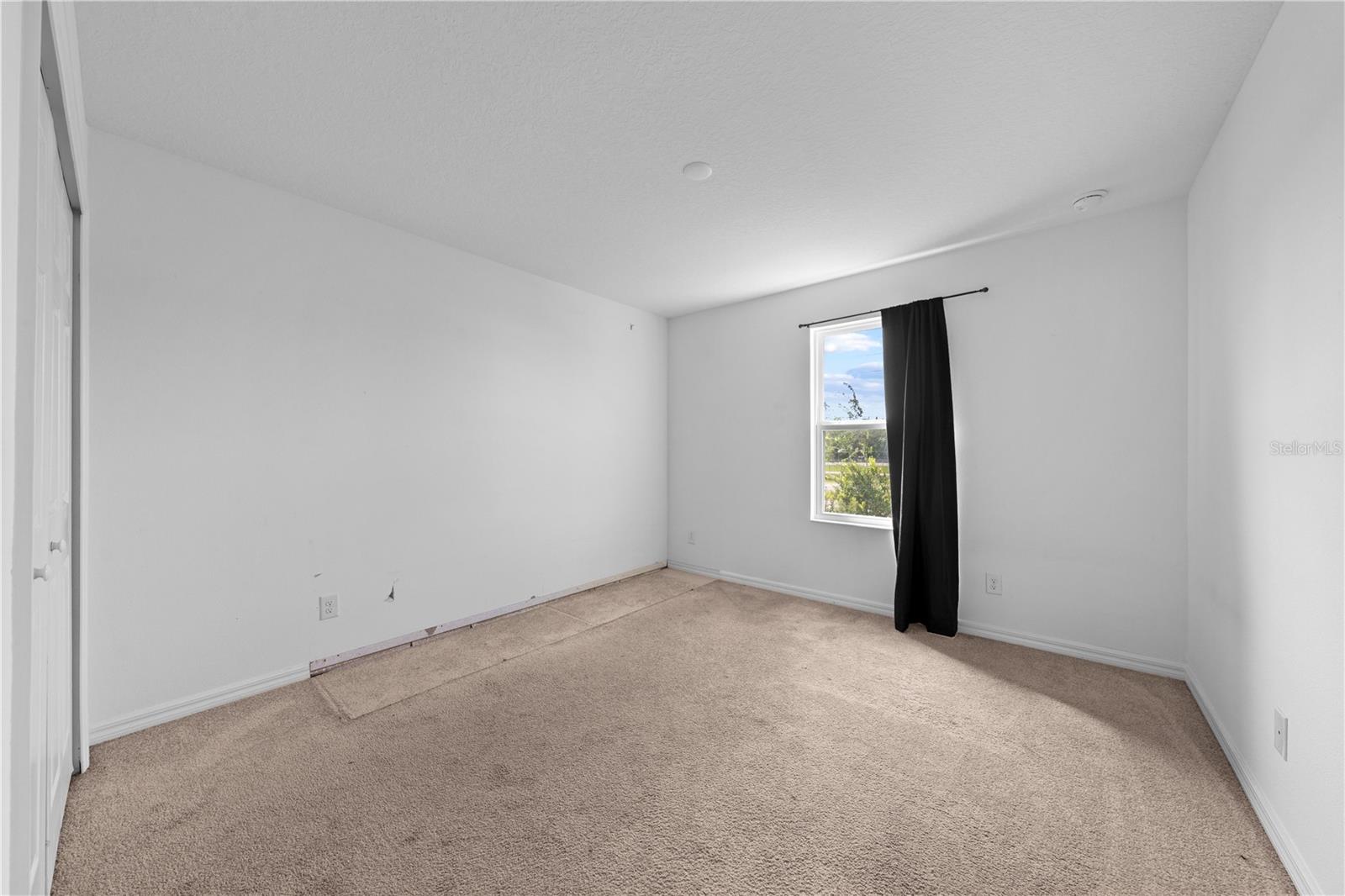 1259 Wispy Cypress Dr Property Photo 36