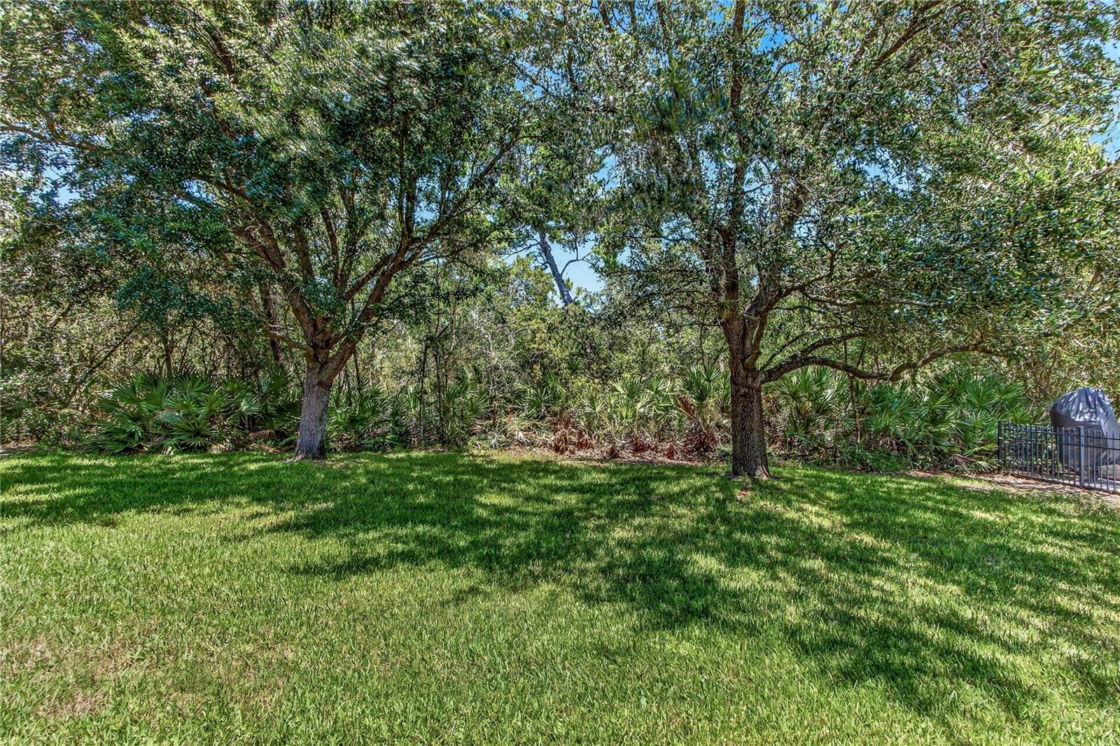 3198 Heirloom Rose Pl Property Photo 37