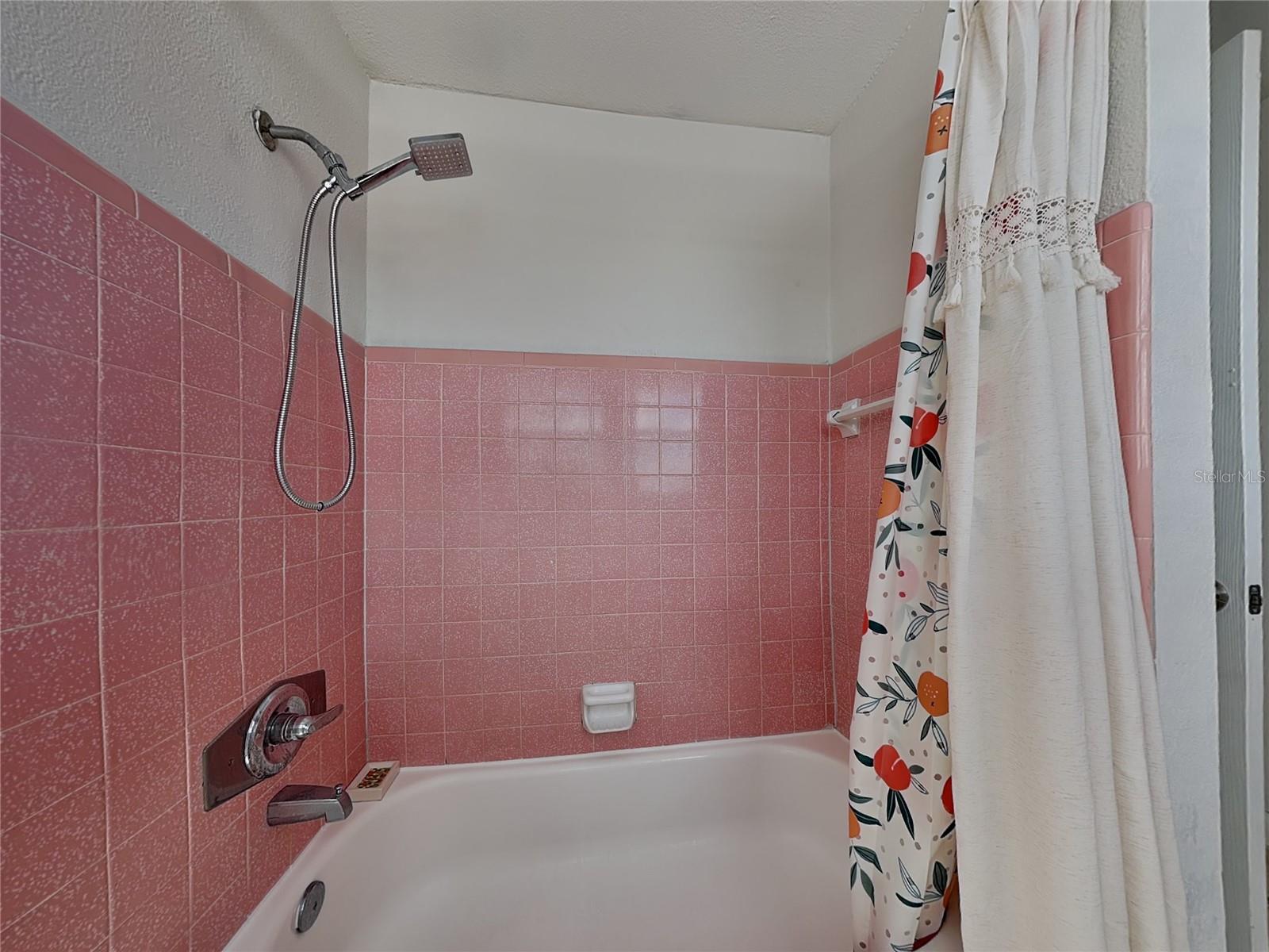 2904 W Chestnut St #2 Property Photo 14