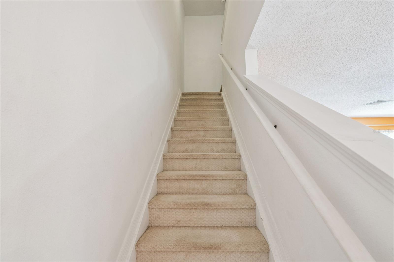 14445 Chinese Elm Dr Property Photo 9