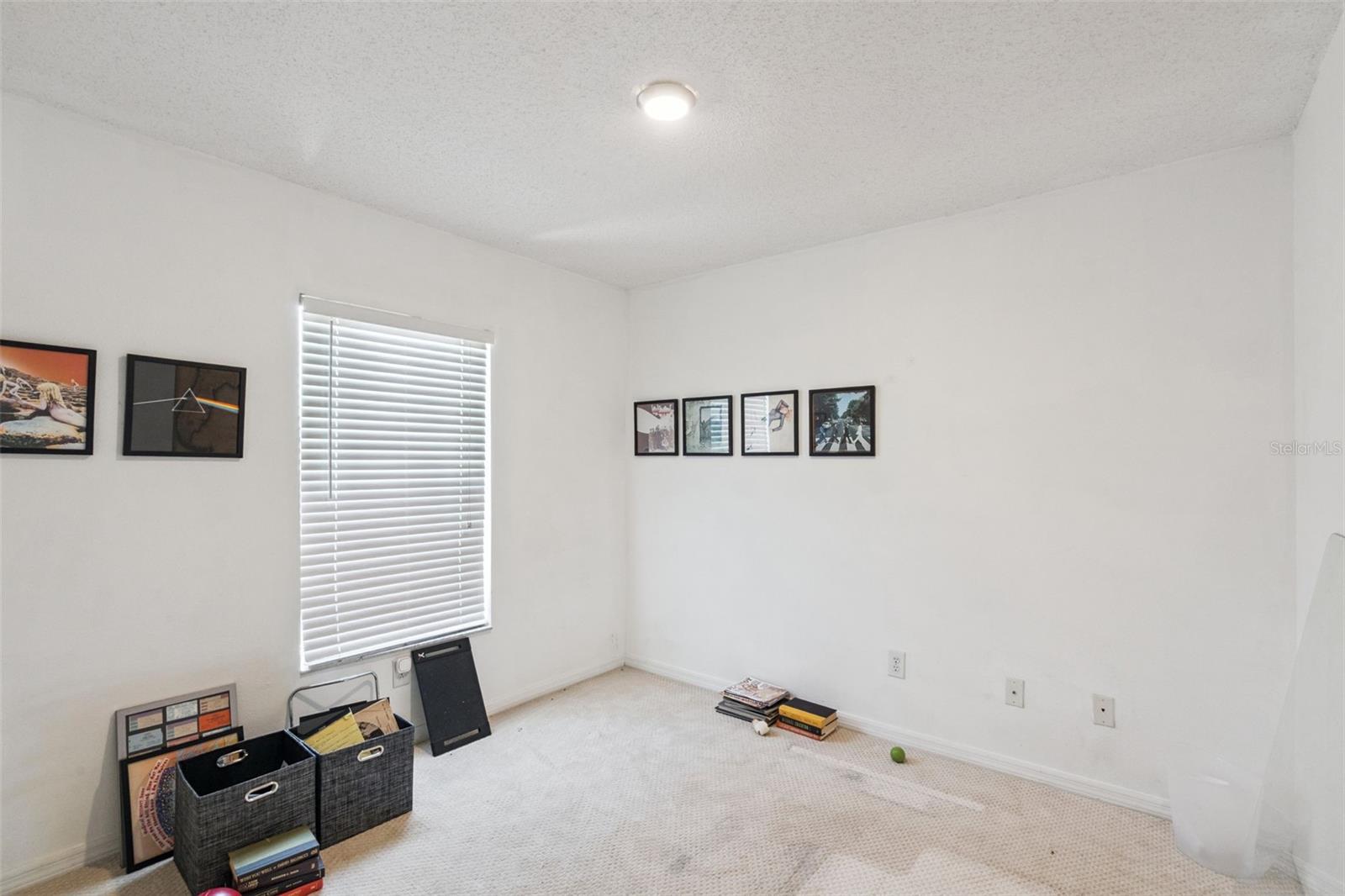 14445 Chinese Elm Dr Property Photo 13