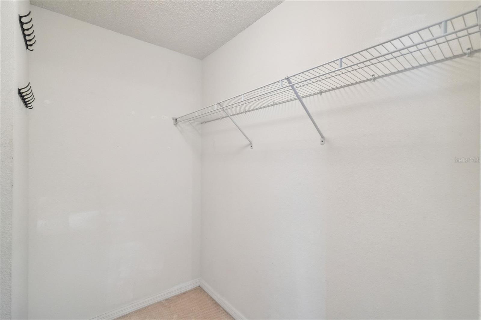 14445 Chinese Elm Dr Property Photo 17