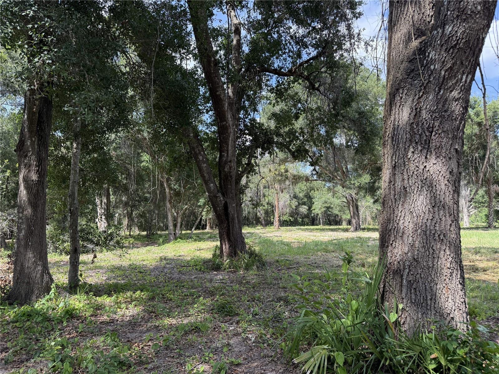 620 Cochran Rd Property Photo 3