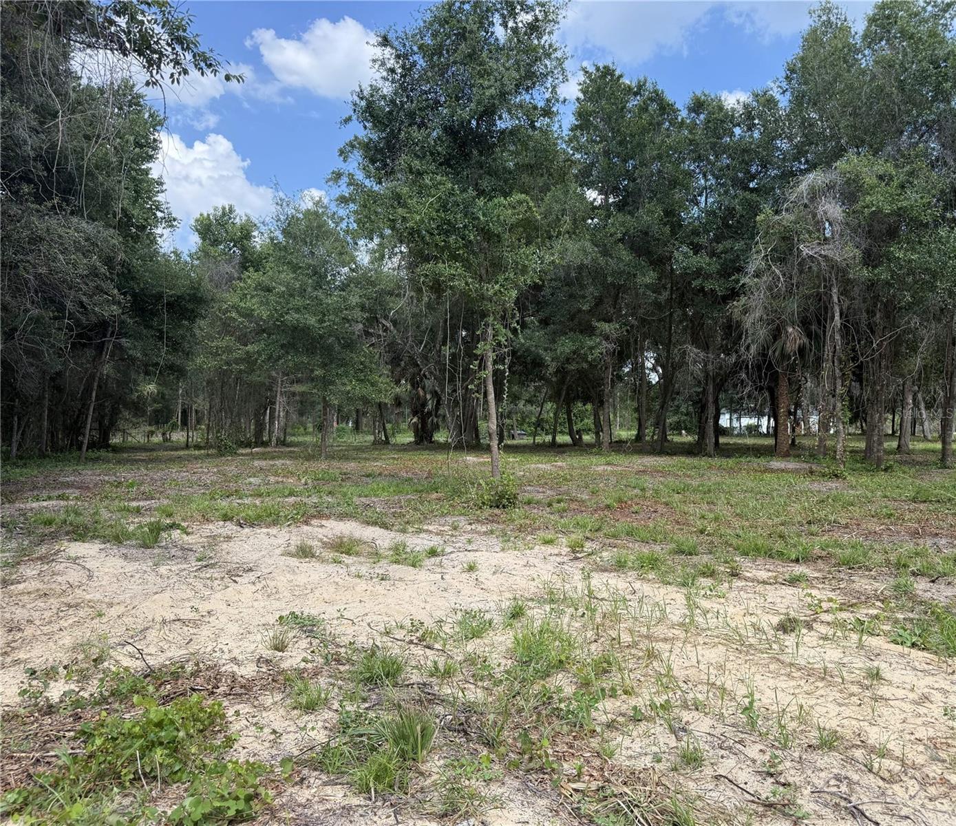 620 Cochran Rd Property Photo 4