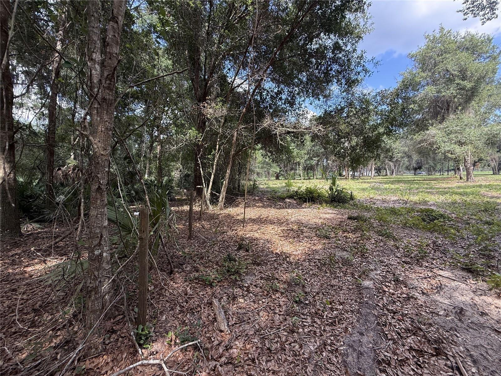 620 Cochran Rd Property Photo 5