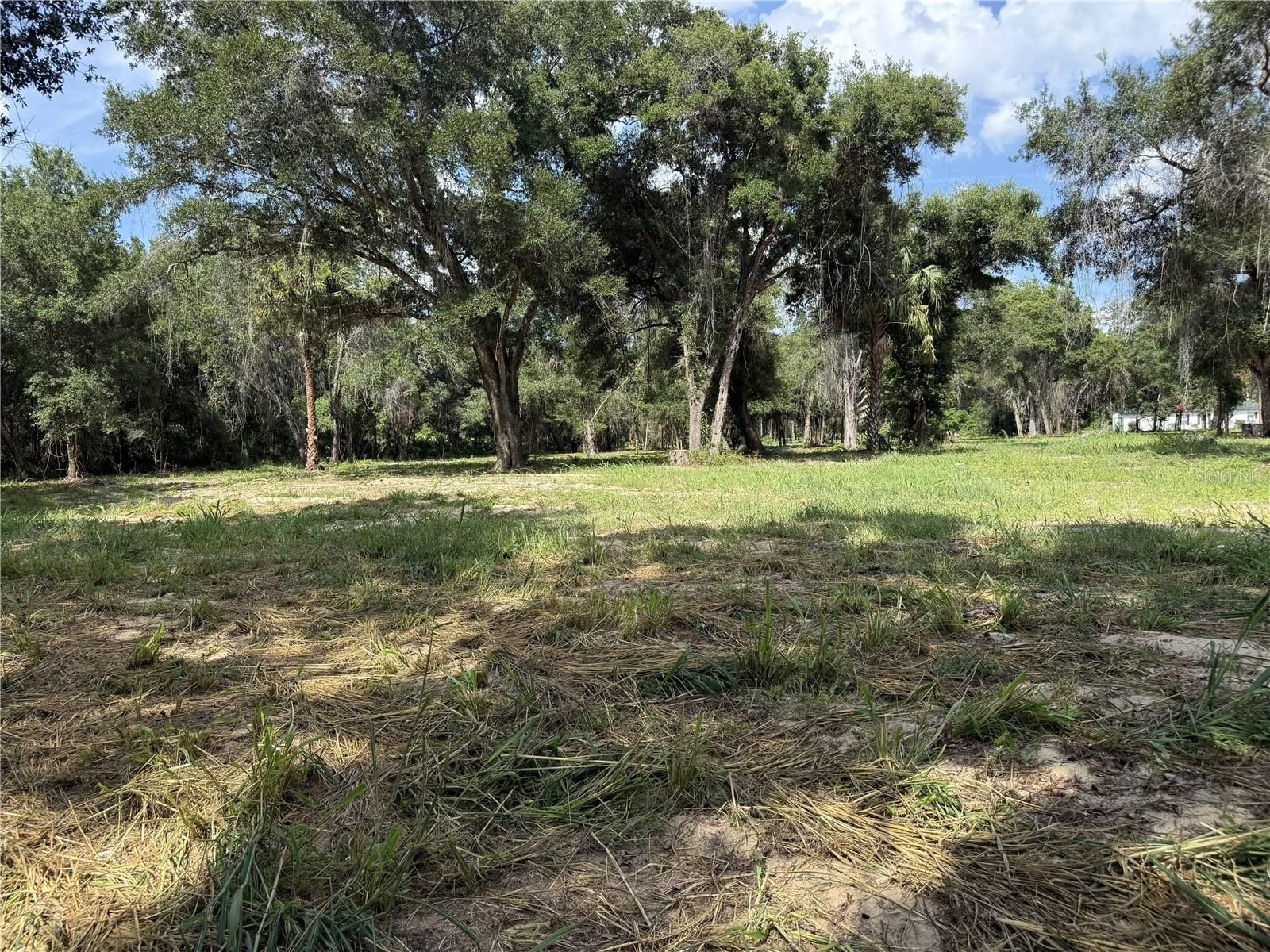 620 Cochran Rd Property Photo 10