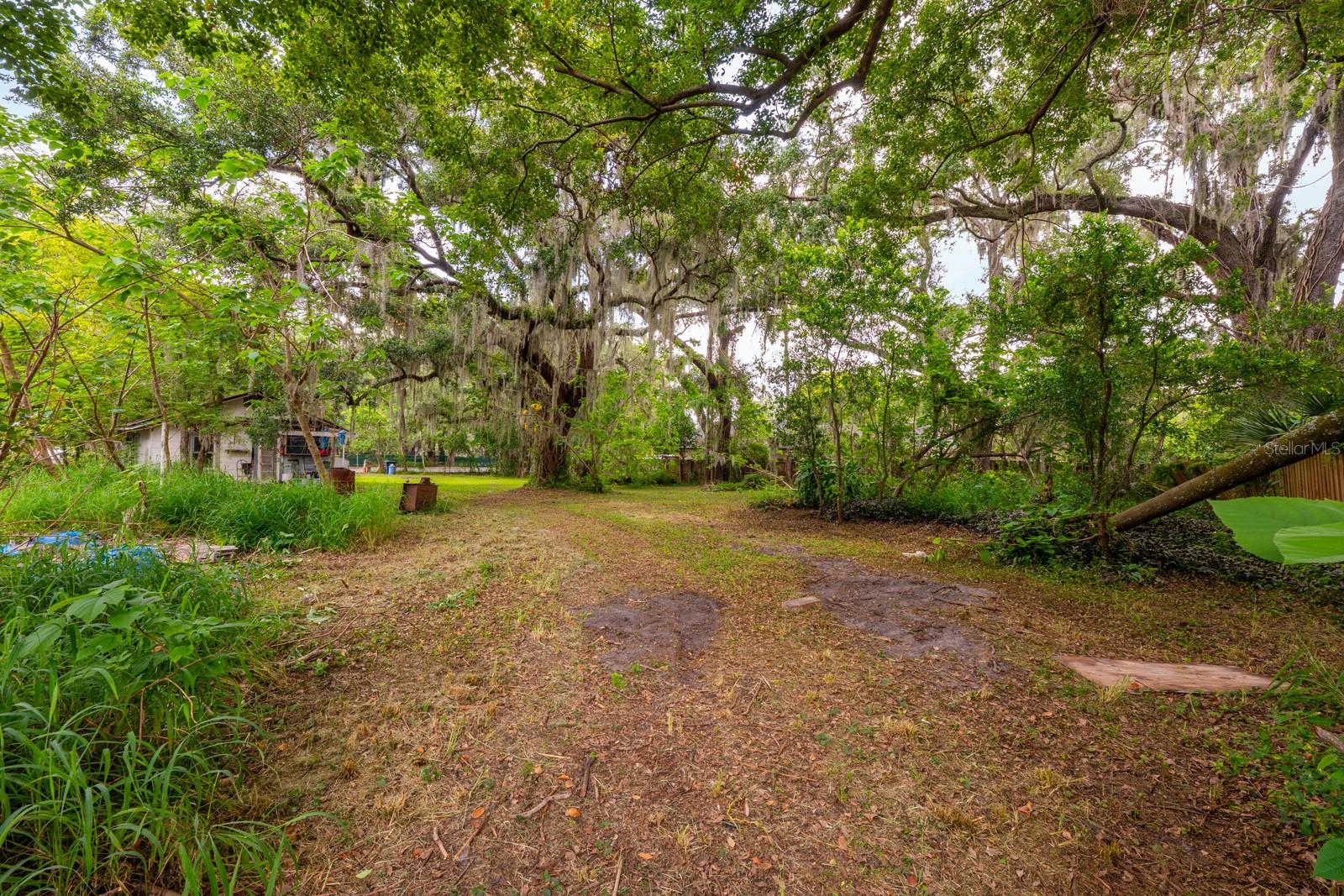 1102 Hoffner Ave Property Photo 3