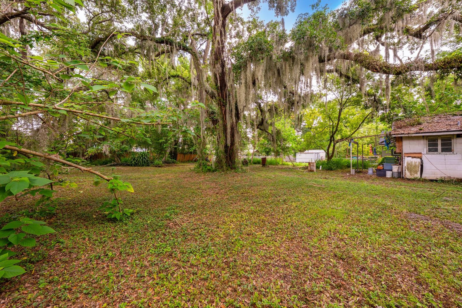 1102 Hoffner Ave Property Photo 4