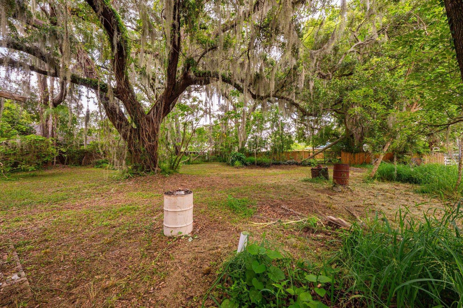 1102 Hoffner Ave Property Photo 5