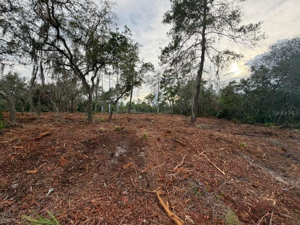 Sequoia Trl Property Photo 1