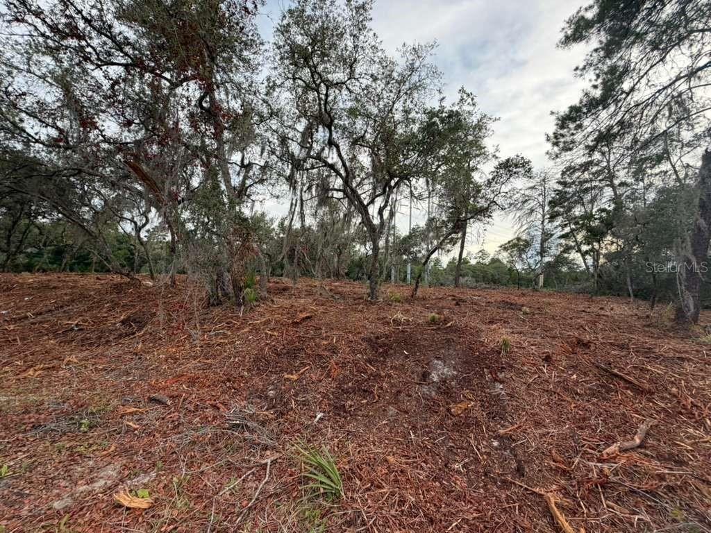 Sequoia Trl Property Photo 2