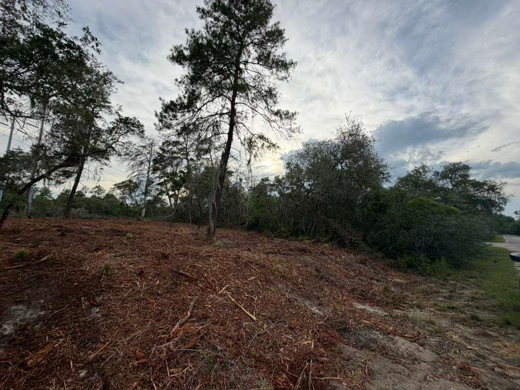 Sequoia Trl Property Photo 3