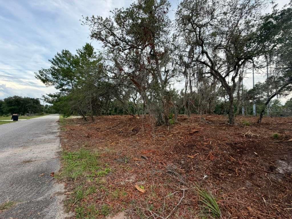 Sequoia Trl Property Photo 5