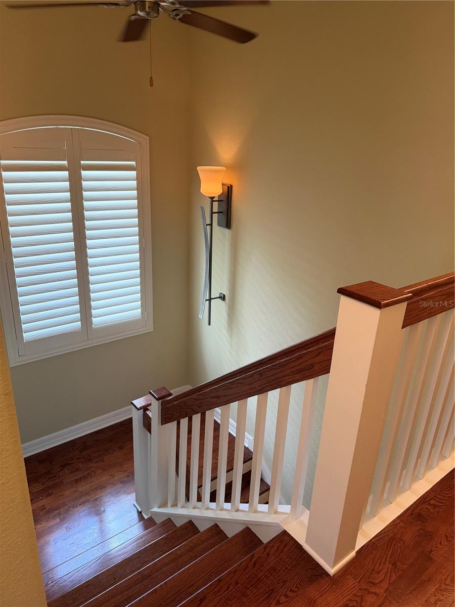 1009 Elmwood St #1009 Property Photo 14