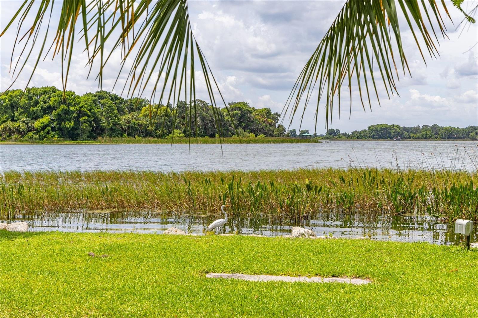 367 August Fern Loop Property Photo 69