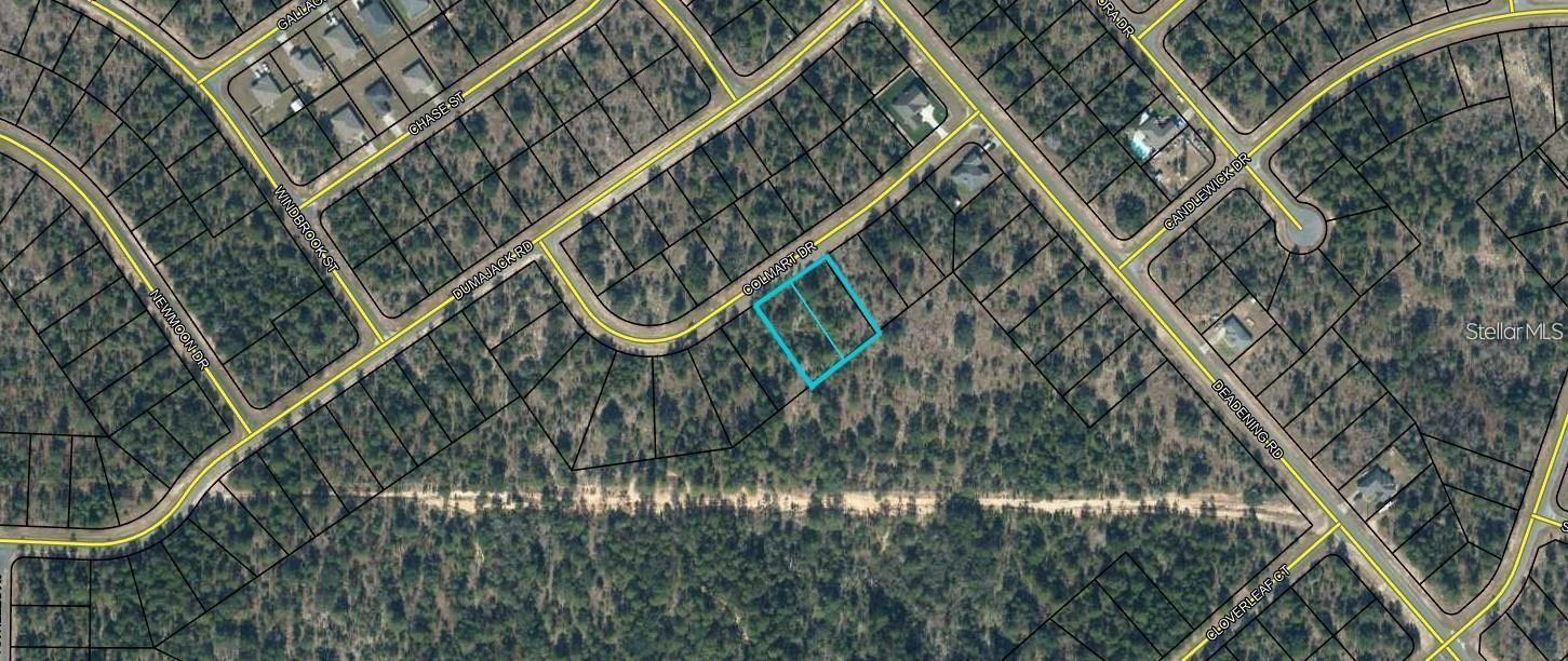 Colmart Dr Property Photo 3