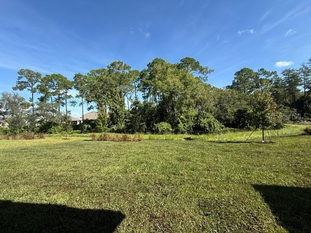 11827 Shine View Ln Property Photo 7