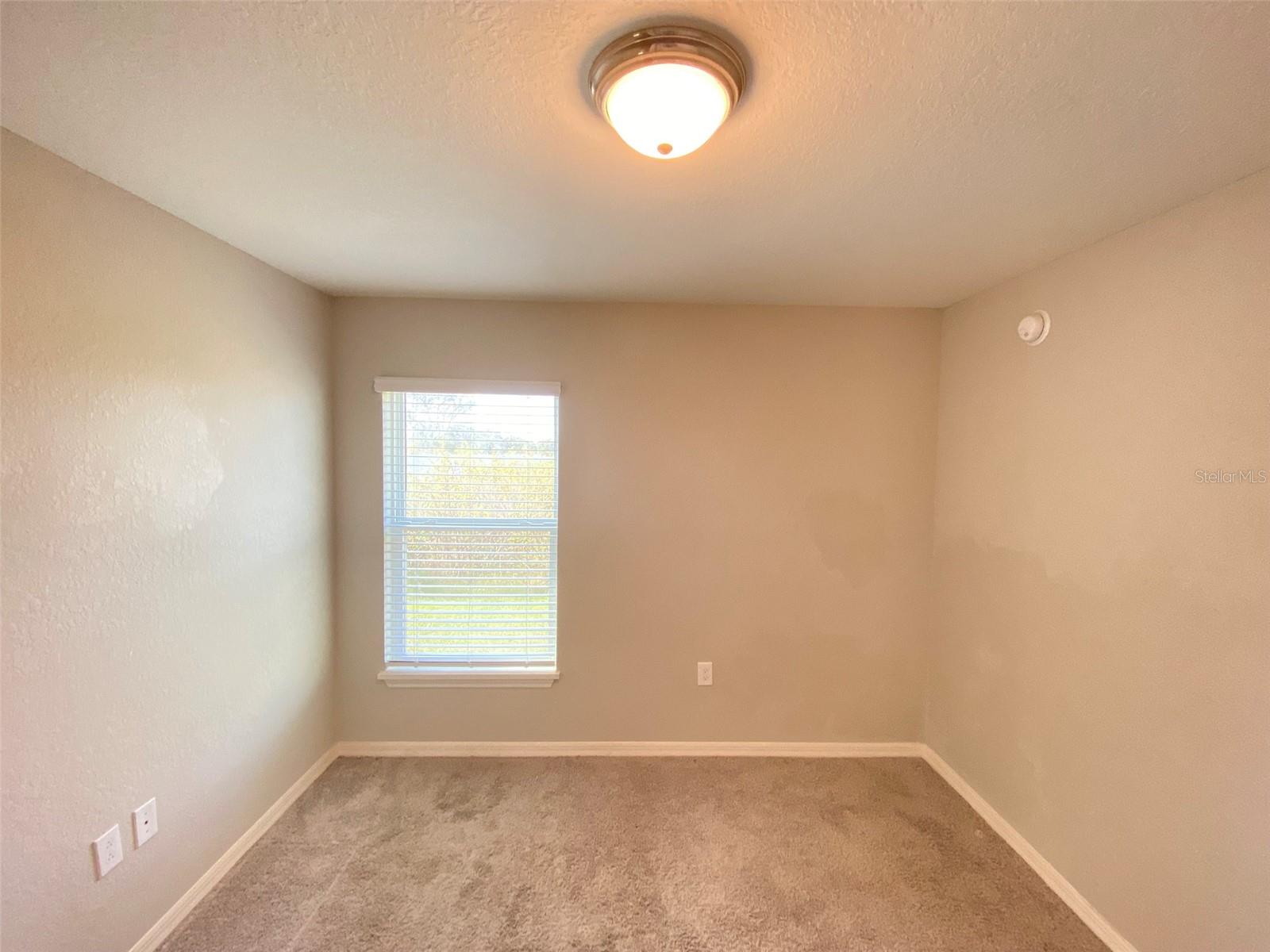 188 Foxtail Loop Property Photo 17