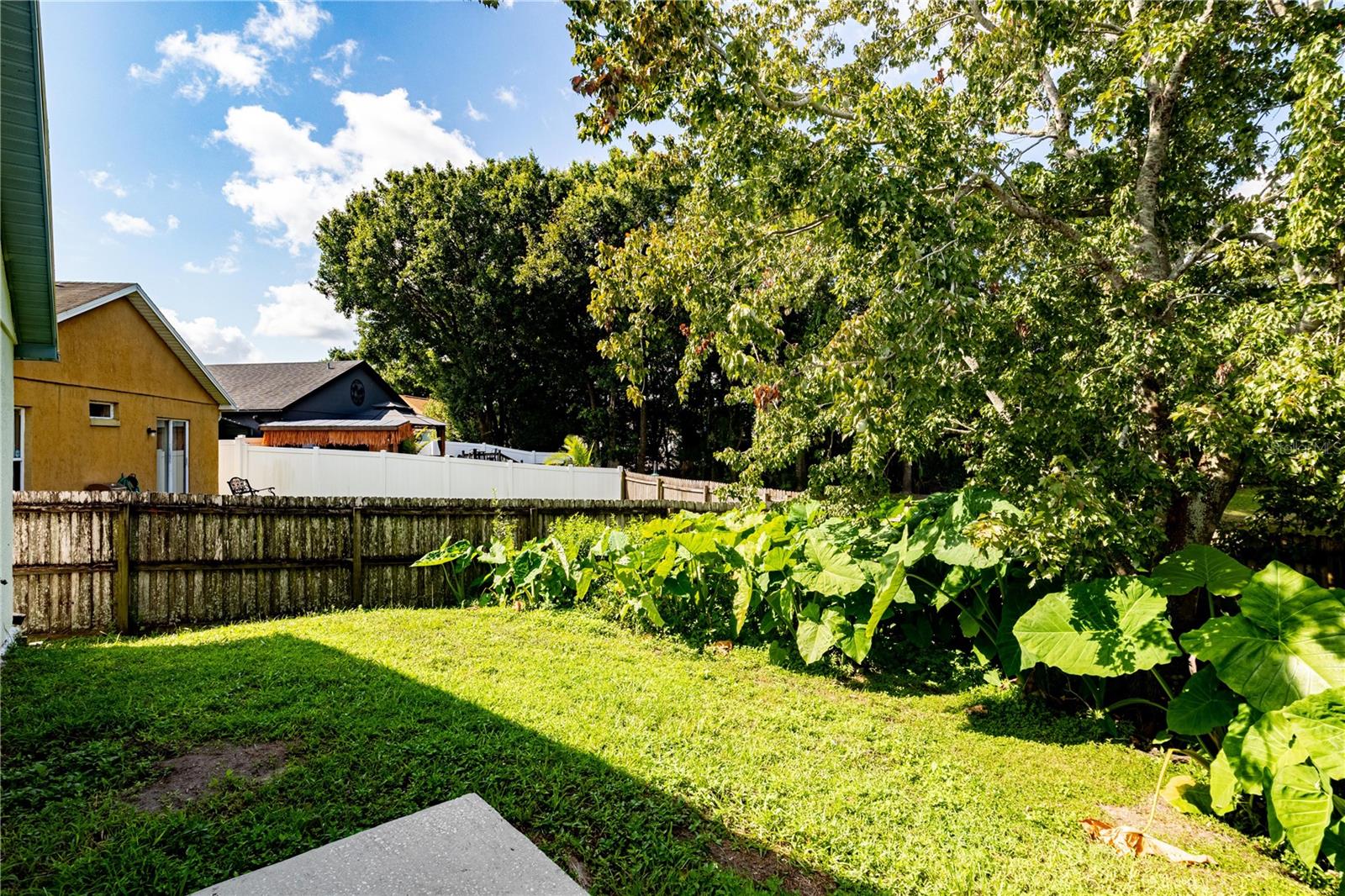 8832 Valencia Oaks Ct Property Photo 17