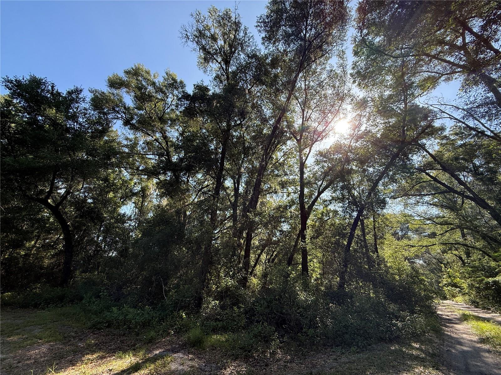 XX SE 147TH CT Property Photo 1