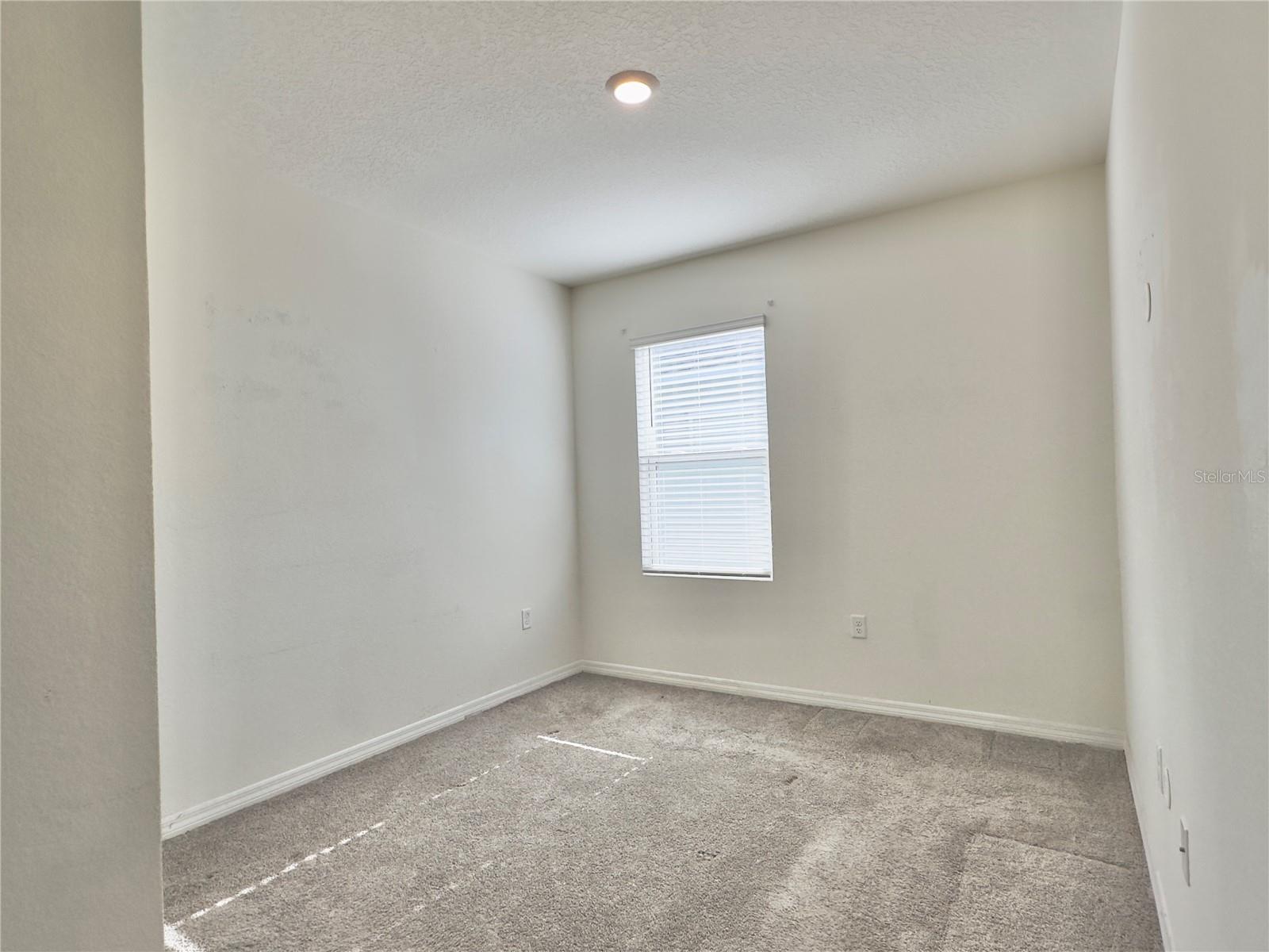 2606 Angel Falls Dr Property Photo 19