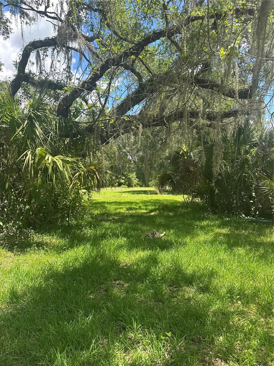 10828 E Freddy St Property Photo 6